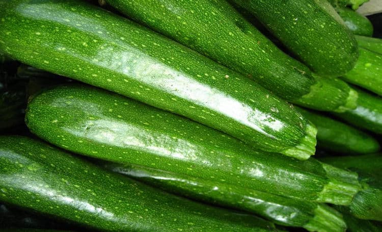 Courgette Premium